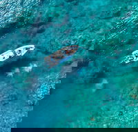 Premium Private Charter - Airlie Beach Holiday