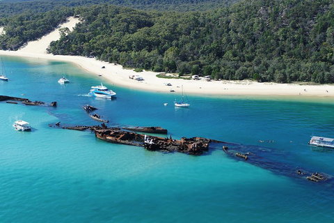 All Inclusive Dolphin And Tangalooma Wrecks Cruise - Airlie Beach Holiday 4