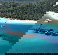 All Inclusive Tangalooma Wrecks Cruise Tour From Gold Coast - Airlie Beach Holiday