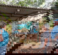 Bombing of Darwin World War II Tour with Harbour Cruise - Airlie Beach Holiday