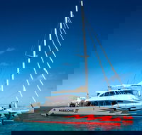 Passions of Paradise Great Barrier Reef Snorkel and Dive Cruise from Cairns by Luxury Catamaran - Airlie Beach Holiday
