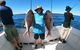 1/2 Day 5 Hour Offshore Fishing Charter - thumb 4
