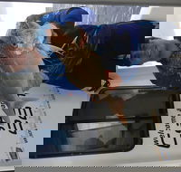 3/4 Day 7 Hour Offshore Fishing Charter - Airlie Beach Holiday