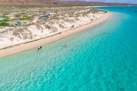 Ningaloo In A Day - Full Day Hike And Snorkel Tour With Lunch - Airlie Beach Holiday 0