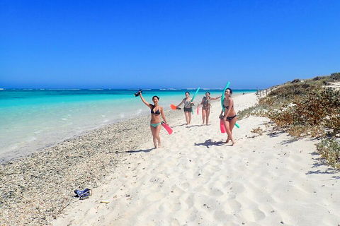 Ningaloo In A Day - Full Day Hike And Snorkel Tour With Lunch - Airlie Beach Holiday 1