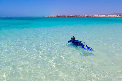 Ningaloo In A Day - Full Day Hike And Snorkel Tour With Lunch - Airlie Beach Holiday 4