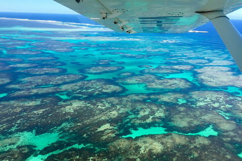 Kalbarri, Pink Lake And Abrolhos Islands Nature Tour - Airlie Beach Holiday 5