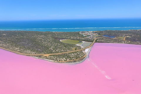 Pink Lake + Abrolhos Islands Nature Tour - Airlie Beach Holiday 4