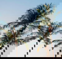 Darwin City Sightseeing Tour - Airlie Beach Holiday