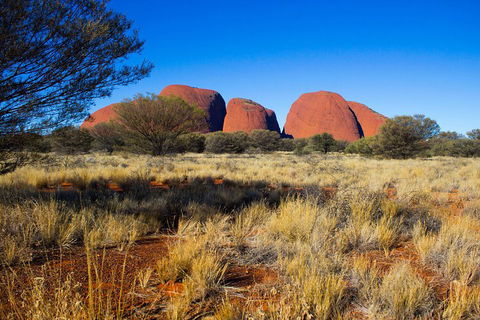 Kata Tjuta Sunrise And Valley Of The Winds Half-Day Trip - Airlie Beach Holiday 1