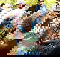 Tiwi Islands Cultural Experience from Darwin Including Ferry - Airlie Beach Holiday