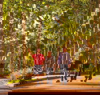 Darwin City Sights and Jumping Crocodile Cruise - Airlie Beach Holiday