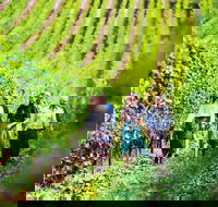 Tasmanian Wine Tour - Airlie Beach Holiday