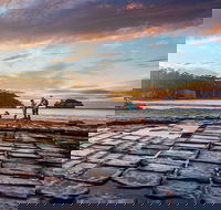 Port Arthur Private Charter Service - Airlie Beach Holiday