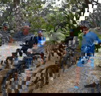 Fully guided E-Mountain Bike Tour on the beautiful Mornington Peninsula. - Airlie Beach Holiday