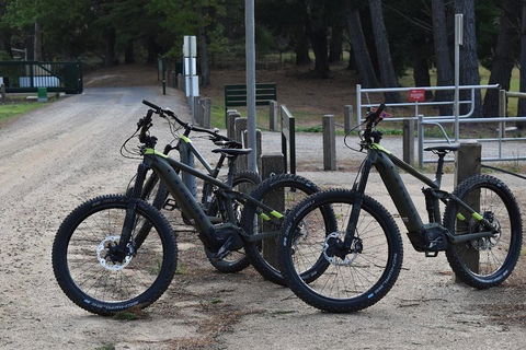 Fully Guided E-Mountain Bike Tour On The Beautiful Mornington Peninsula. - Airlie Beach Holiday 2