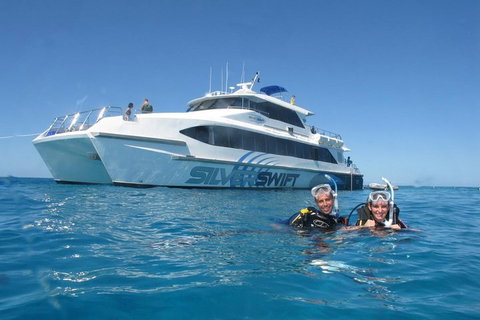 Silverswift Outer Great Barrier Reef Dive And Snorkel Cruise From Cairns - Airlie Beach Holiday 4