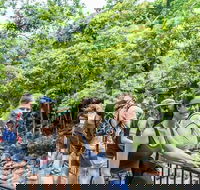 Cape Tribulation Mossman Gorge and Daintree Rainforest Day Trip from Cairns or Port Douglas - Airlie Beach Holiday