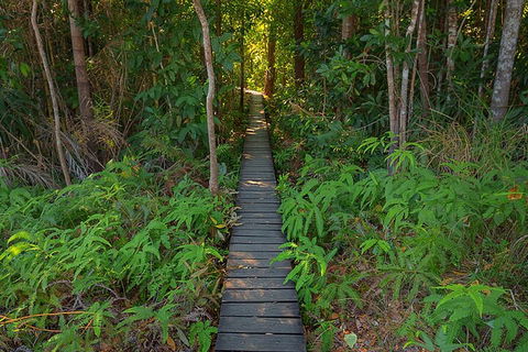 One Day Litchfield Park Adventures - Airlie Beach Holiday 4