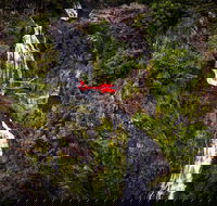 Ultimate Great Barrier Reef and Rainforest 45-minute Helicopter Tour - Airlie Beach Holiday