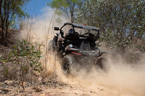 License To Thrill: 1.5 Hour Off-road Tour In Darwin (1 Person: 2 Seater Vehicle) - Airlie Beach Holiday 3