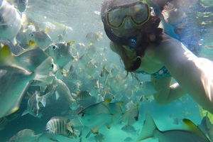 2-Day Moreton Island 4WD Camping Tour from Brisbane