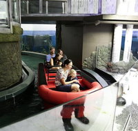 Sydney Attractions Pass SEA LIFE Aquarium Sydney Tower Eye WILD LIFE Zoo and Madame Tussauds