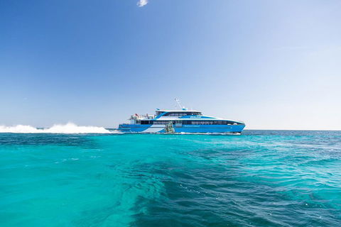 Fremantle To Rottnest Island Roundtrip Ferry Ticket - Airlie Beach Holiday 0
