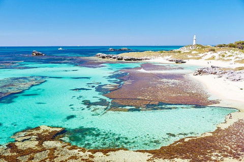 Fremantle To Rottnest Island Roundtrip Ferry Ticket - Airlie Beach Holiday 2