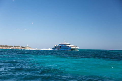 Fremantle To Rottnest Island Roundtrip Ferry Ticket - Airlie Beach Holiday 5