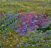 Litchfield Park  Daly River - Scenic Flight From Darwin - Airlie Beach Holiday