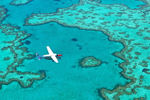 Reef And Island Scenic Flight From Airlie Beach - Airlie Beach Holiday 4