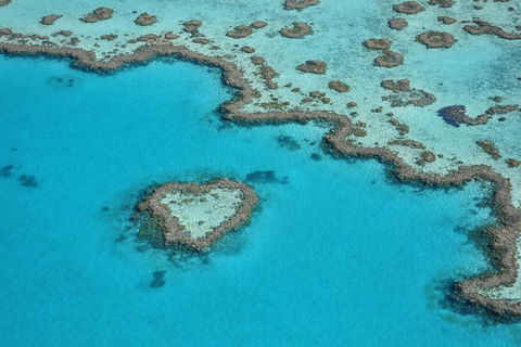 Reef And Island Scenic Flight From Airlie Beach - Airlie Beach Holiday 5