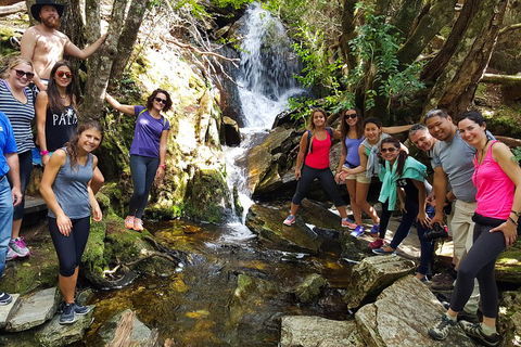 7-Day Super Value Tour Of Tasmania: Explore Tasmania's West And East Coasts - Airlie Beach Holiday 2