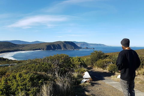4-Day Fabulous Tasmania Tour: Wineglass Bay, Port Arthur, Devils & Bruny Island - Airlie Beach Holiday 0