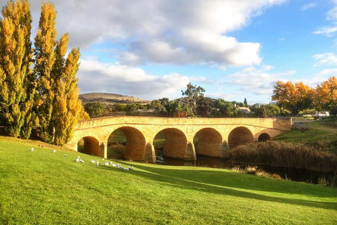 4-Day Fabulous Tasmania Tour: Wineglass Bay, Port Arthur, Devils & Bruny Island - Airlie Beach Holiday 1