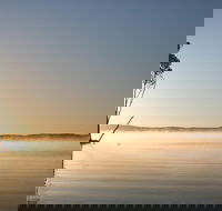 Serenity Cruise to Australia's Everglades - Airlie Beach Holiday