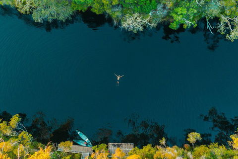 Cruise 'n' Canoe To Australia's Everglades - Airlie Beach Holiday 2