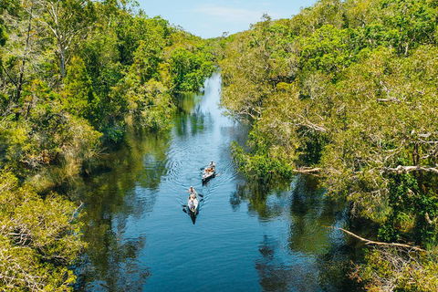 Cruise 'n' Canoe To Australia's Everglades - Airlie Beach Holiday 3