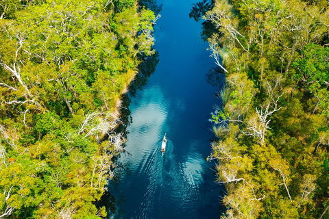 Cruise 'n' Canoe To Australia's Everglades - Airlie Beach Holiday 4