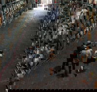 Wirra Wirra Vineyard McLaren Vale Winery Tour and Shiraz Masterclass - Airlie Beach Holiday