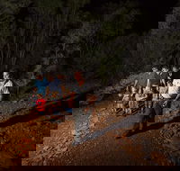 Alice Springs Desert Park Nocturnal Tour - Airlie Beach Holiday