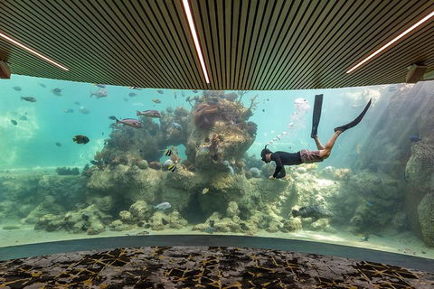 Whitehaven Beach And Daydream Island Cruise - Airlie Beach Holiday 4