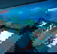 Great Barrier Reef Day Cruise to Reefworld - Airlie Beach Holiday