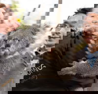 Bonorong Wildlife Park and Richmond Afternoon Tour from Hobart - Airlie Beach Holiday