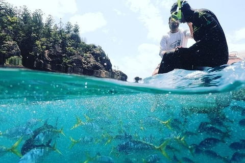 2 Night Small Group Whitsundays Sailing Adventure Aboard Mandrake - Airlie Beach Holiday 5
