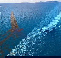 2-Night Whitsunday Islands Sailing Adventure on Trimaran Avatar - Airlie Beach Holiday