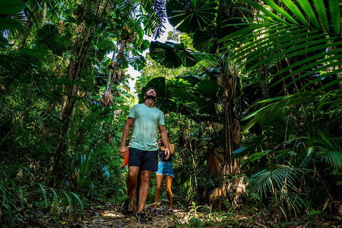 Full Day Daintree Rainforest And Mossman Gorge Tour - Airlie Beach Holiday 0
