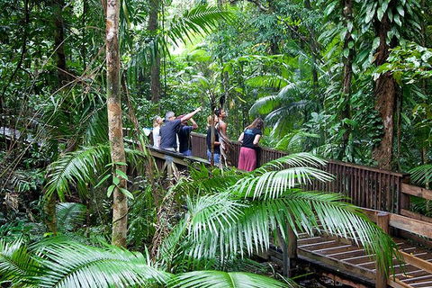 Full Day Daintree Rainforest And Mossman Gorge Tour - Airlie Beach Holiday 1