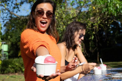 Full Day Daintree Rainforest And Mossman Gorge Tour - Airlie Beach Holiday 3